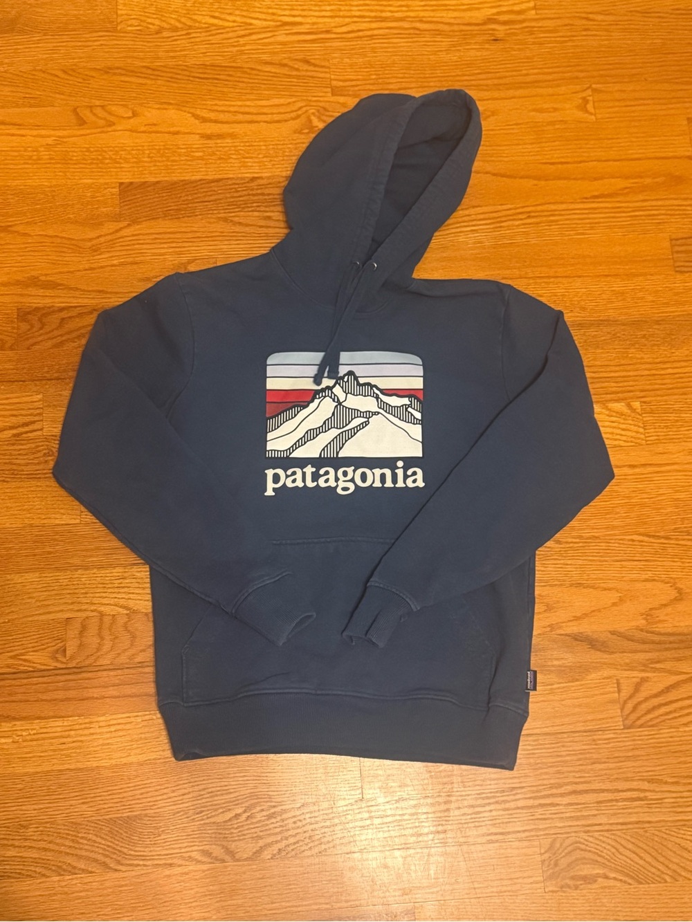 Patagonia Navy Pullover Hoodie with Mountain Logo Size: s